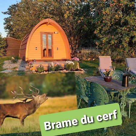 La Cabane De Tic Et Tac Hotel Tailles Buitenkant foto